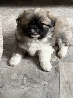 processed/454e9612-6b94-4513-b7fd-a816e3543cc1/listing/48740ca6-c883-4d35-a7fa-46b683b78c90/6e132e6c-640d-4611-a289-fc826d4e3f82