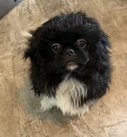 processed/454e9612-6b94-4513-b7fd-a816e3543cc1/listing/671d4e64-641e-4ede-84ff-010f9d2e9956/5cd84b3c-76bc-46c3-a561-e4fd8f8402c7