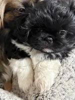 processed/454e9612-6b94-4513-b7fd-a816e3543cc1/listing/671d4e64-641e-4ede-84ff-010f9d2e9956/770e845a-39c9-4f00-a28e-130d9f4a4d68