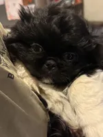 processed/454e9612-6b94-4513-b7fd-a816e3543cc1/listing/671d4e64-641e-4ede-84ff-010f9d2e9956/9163d5c9-2ba0-41a2-909b-880b656a6cba