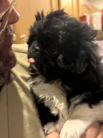 processed/454e9612-6b94-4513-b7fd-a816e3543cc1/listing/671d4e64-641e-4ede-84ff-010f9d2e9956/acc3bcca-b9a9-4e96-9eb6-9cf08e9f4d87