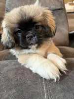 processed/454e9612-6b94-4513-b7fd-a816e3543cc1/listing/f020e9a0-f1cd-4521-ae71-c0df3fb6ac3b/229dbe7c-655f-4318-bbef-3dad49e2210d