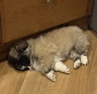 processed/454e9612-6b94-4513-b7fd-a816e3543cc1/listing/f020e9a0-f1cd-4521-ae71-c0df3fb6ac3b/430b445b-7b70-4ebe-b7a1-2eea713a0ef6