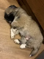 processed/454e9612-6b94-4513-b7fd-a816e3543cc1/listing/f020e9a0-f1cd-4521-ae71-c0df3fb6ac3b/5a094574-17a7-4dfd-bf61-f543d2cb4621