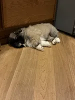 processed/454e9612-6b94-4513-b7fd-a816e3543cc1/listing/f020e9a0-f1cd-4521-ae71-c0df3fb6ac3b/68f7d236-e9c3-4a19-8bbd-9c818e6ffa2d