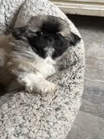 processed/454e9612-6b94-4513-b7fd-a816e3543cc1/listing/f020e9a0-f1cd-4521-ae71-c0df3fb6ac3b/a3eb64f6-9d4e-4f18-be00-423883434b40