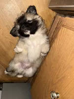 processed/454e9612-6b94-4513-b7fd-a816e3543cc1/listing/f020e9a0-f1cd-4521-ae71-c0df3fb6ac3b/b7acf4b0-1f43-4383-b06e-ce5ae8306d97