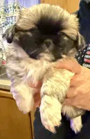 processed/454e9612-6b94-4513-b7fd-a816e3543cc1/listing/f020e9a0-f1cd-4521-ae71-c0df3fb6ac3b/bcbfe4cc-84aa-475e-9816-205fe97c4774