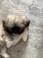 processed/454e9612-6b94-4513-b7fd-a816e3543cc1/listing/f020e9a0-f1cd-4521-ae71-c0df3fb6ac3b/c07cc0a6-d93d-4d2d-9d62-3e9796ea9390