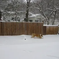 processed/4550aae4-8b1b-42e6-801f-f4588ed6bdca/facility/3f42e909-4eae-4ba1-bc82-27a11ab09b4b