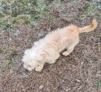 processed/4551153b-484d-492a-874d-eedea81f2f70/listing/441ba61b-f17b-4d11-874e-7a9d023a9e91/454c0063-5c00-4618-beae-b947c9155d97