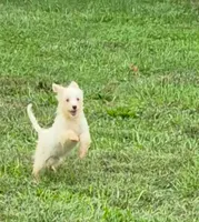 processed/4551153b-484d-492a-874d-eedea81f2f70/listing/441ba61b-f17b-4d11-874e-7a9d023a9e91/4955785b-e2b2-482d-b560-c90e9ad2f6cf