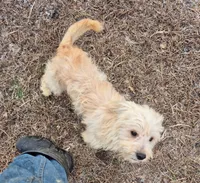 processed/4551153b-484d-492a-874d-eedea81f2f70/listing/441ba61b-f17b-4d11-874e-7a9d023a9e91/61e1e048-0dcb-4106-ba9c-f85ed04951e8