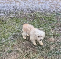 processed/4551153b-484d-492a-874d-eedea81f2f70/listing/441ba61b-f17b-4d11-874e-7a9d023a9e91/899ff9dd-c2b5-43f4-a6ca-4e09ab36661d