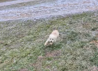 processed/4551153b-484d-492a-874d-eedea81f2f70/listing/441ba61b-f17b-4d11-874e-7a9d023a9e91/978c514b-9b1d-4dfb-9af9-7c4d10db779f