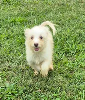 processed/4551153b-484d-492a-874d-eedea81f2f70/listing/441ba61b-f17b-4d11-874e-7a9d023a9e91/a69bd11a-4cfd-48f4-9c84-2f135e66ac39