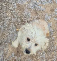 processed/4551153b-484d-492a-874d-eedea81f2f70/listing/441ba61b-f17b-4d11-874e-7a9d023a9e91/bf873e85-f79a-419f-9713-69832ce441bc