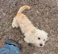 processed/4551153b-484d-492a-874d-eedea81f2f70/listing/441ba61b-f17b-4d11-874e-7a9d023a9e91/fe306a81-e0c4-4f28-81c8-dfa0d1599590