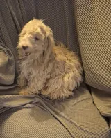 processed/4551153b-484d-492a-874d-eedea81f2f70/listing/91c2be8c-8108-4dad-83d5-7029727ac362/6029fe81-6cb7-4fc0-9864-e35e2cf85cf7