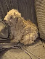 processed/4551153b-484d-492a-874d-eedea81f2f70/listing/91c2be8c-8108-4dad-83d5-7029727ac362/a6e58223-8f75-48f1-9924-719a10f36879