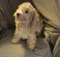 processed/4551153b-484d-492a-874d-eedea81f2f70/listing/91c2be8c-8108-4dad-83d5-7029727ac362/ce604626-35e0-4bc0-be27-459f3675d0c7