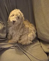 processed/4551153b-484d-492a-874d-eedea81f2f70/listing/91c2be8c-8108-4dad-83d5-7029727ac362/e52a5f29-4c0b-4926-8d08-a63d2103d561