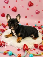 processed/4552c93d-119e-4bbf-8404-d8e0ed33311b/listing/8131efa0-20cc-406b-a552-97a654c70fdd/0240577c-95ce-4742-8594-e27ad56140d6