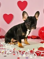 processed/4552c93d-119e-4bbf-8404-d8e0ed33311b/listing/8131efa0-20cc-406b-a552-97a654c70fdd/da88da7a-2662-417b-87bc-44ef54733753