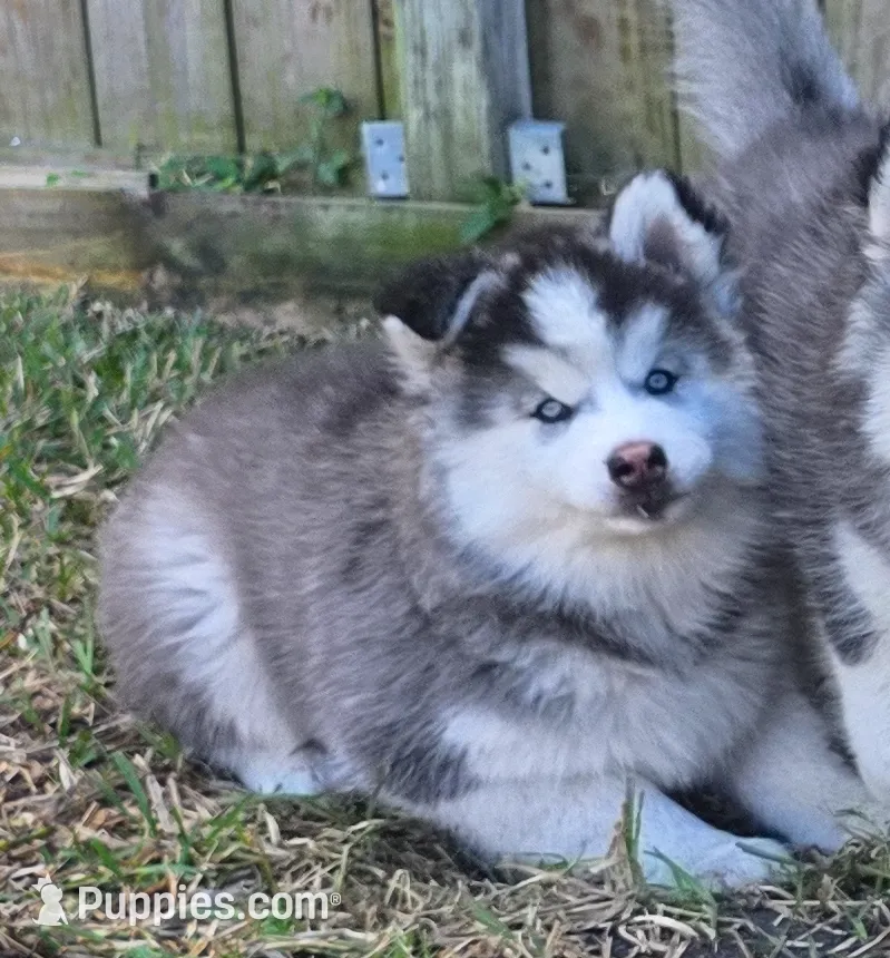 processed/455366e1-4de9-4c56-b02a-c5e0a973830b/listing/aa436641-fc78-4589-aec9-74e1e441db69/5437ef73-6d6a-4ab7-8b3e-b849587a6664