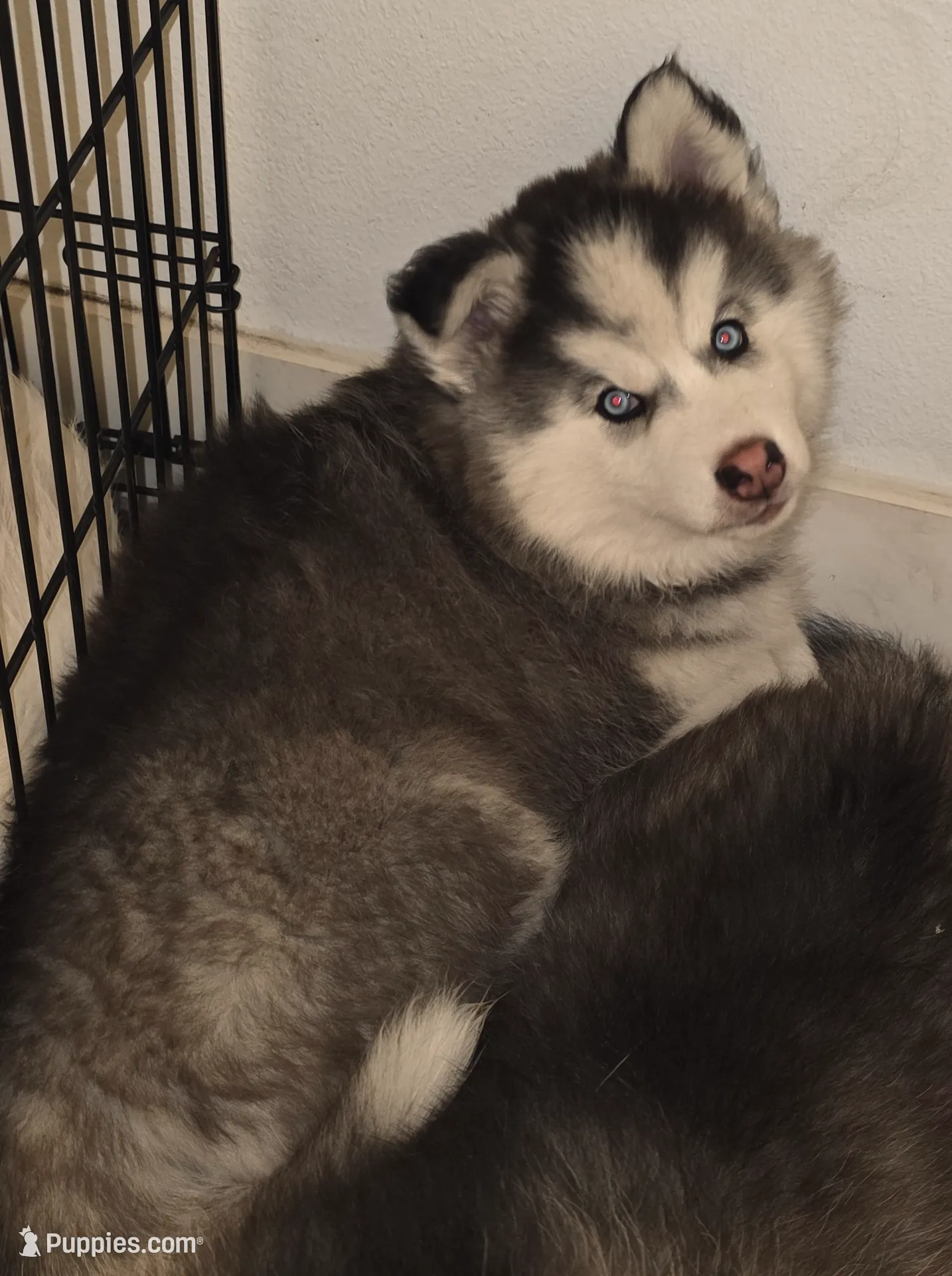 processed/455366e1-4de9-4c56-b02a-c5e0a973830b/listing/aa436641-fc78-4589-aec9-74e1e441db69/bc050f0a-1657-411e-ba94-66f6b85c5039