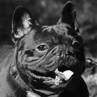 processed/45586471-a3a6-439c-8e62-178cd471ca37/facility/1b90ea61-3120-426e-a830-b57e6694d996