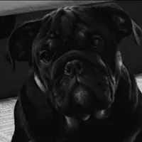 processed/45586471-a3a6-439c-8e62-178cd471ca37/facility/1ec4e3c3-913f-46d6-b2bc-5d2305fde343