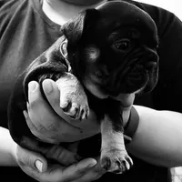 processed/45586471-a3a6-439c-8e62-178cd471ca37/facility/3c8ef673-6d5f-4247-8564-37cb633da57e