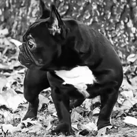 processed/45586471-a3a6-439c-8e62-178cd471ca37/facility/538d49bc-5fe9-4b70-a5e8-09ad870816f8