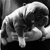 processed/45586471-a3a6-439c-8e62-178cd471ca37/facility/9961765d-f584-461e-ae89-0d079223c5e5