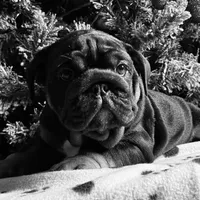 processed/45586471-a3a6-439c-8e62-178cd471ca37/facility/ae2937b0-7744-4071-bebc-2bbcfbfe834b