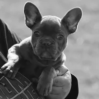 processed/45586471-a3a6-439c-8e62-178cd471ca37/facility/d0513209-8c63-400f-a477-ec84bf800aba