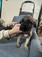 processed/45675b16-faf1-4f84-8196-4efbbc455421/listing/41c7969c-2f92-47a6-9a8b-6b6fb28e52e2/02482c0d-c637-4115-b8a0-af8213755e94