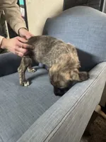 processed/45675b16-faf1-4f84-8196-4efbbc455421/listing/41c7969c-2f92-47a6-9a8b-6b6fb28e52e2/b573e472-a6e3-4f25-8b85-59bcc6664d4b