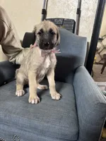 processed/45675b16-faf1-4f84-8196-4efbbc455421/listing/4cc01b79-0085-4bc1-b2f8-16176196bf13/c6b0db9d-2ef4-49e0-a94d-69448815ddd1