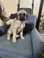 processed/45675b16-faf1-4f84-8196-4efbbc455421/listing/4cc01b79-0085-4bc1-b2f8-16176196bf13/f2805e21-b5f4-45cd-bca8-c790727cdd46