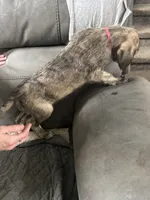 processed/45675b16-faf1-4f84-8196-4efbbc455421/listing/5fdecec5-252f-4e99-9ad3-169d00cd8b67/1d079bc7-b238-405d-8cde-e462a41563e3