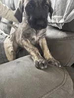 processed/45675b16-faf1-4f84-8196-4efbbc455421/listing/5fdecec5-252f-4e99-9ad3-169d00cd8b67/5cdb9b50-91bf-4820-9d0c-6fd71fcf4d0e