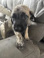 processed/45675b16-faf1-4f84-8196-4efbbc455421/listing/5fdecec5-252f-4e99-9ad3-169d00cd8b67/76e83b56-1fe9-4eb8-bd12-85b0c0e98dd4