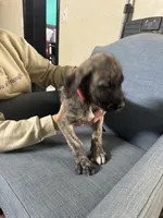 processed/45675b16-faf1-4f84-8196-4efbbc455421/listing/78a426f9-f9a2-49fa-a344-4bc321742000/777b234a-2ac1-4ab7-ad79-392fded3e0cc