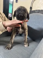 processed/45675b16-faf1-4f84-8196-4efbbc455421/listing/78a426f9-f9a2-49fa-a344-4bc321742000/ef0bcceb-7ee2-4d64-8e5d-aa42a010b237