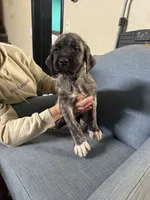 processed/45675b16-faf1-4f84-8196-4efbbc455421/listing/848561a7-daaf-454c-903d-e9aa4f4d2254/16de15e0-69ba-4cbe-80bd-0b6a69ac9b76