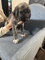 processed/45675b16-faf1-4f84-8196-4efbbc455421/listing/848561a7-daaf-454c-903d-e9aa4f4d2254/9d5c724b-b700-4c9d-a552-1459f02c8bca