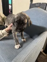 processed/45675b16-faf1-4f84-8196-4efbbc455421/listing/848561a7-daaf-454c-903d-e9aa4f4d2254/d2d6250d-2579-4933-9d67-2c265fce2465