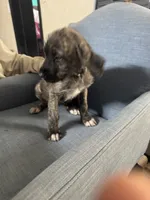 processed/45675b16-faf1-4f84-8196-4efbbc455421/listing/9ca5288a-dfe9-40f1-9d18-0df70b9b7c87/2feedff6-fc29-4446-b50d-e51eaad22343